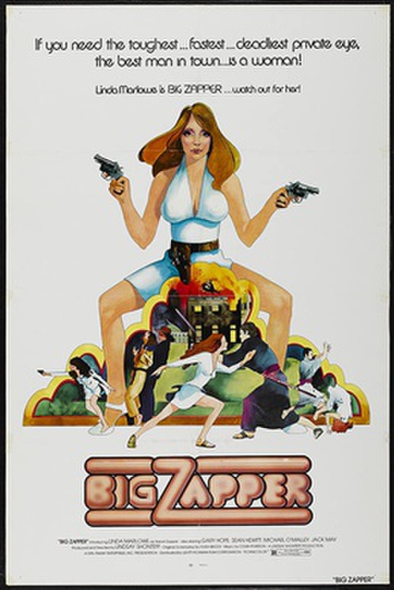 Big Zapper.jpg