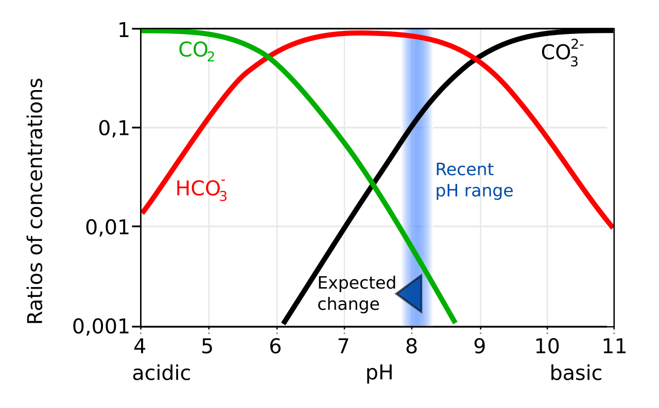 Carbonate system of seawater.svg