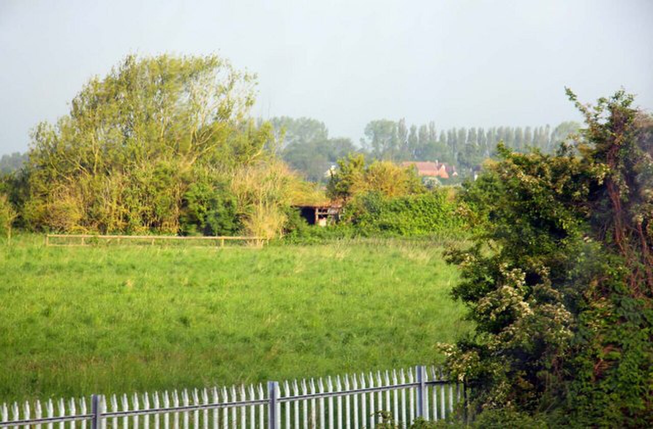 Shed in the hedgerow by Wolvercote Common - geograph.org.uk - 1321909.jpg