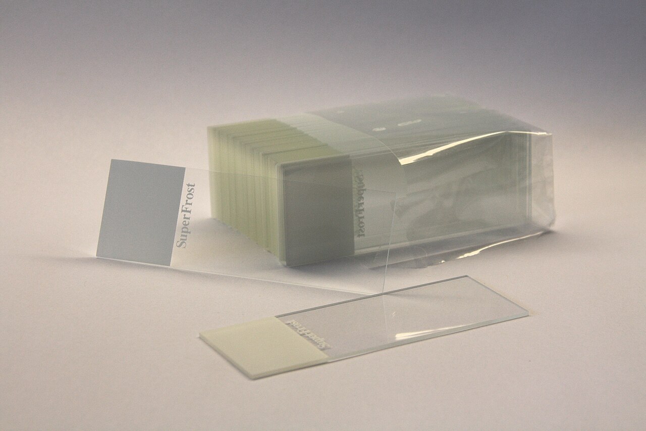 MicroscopeSlides.jpg