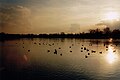 Feldmochinger See
