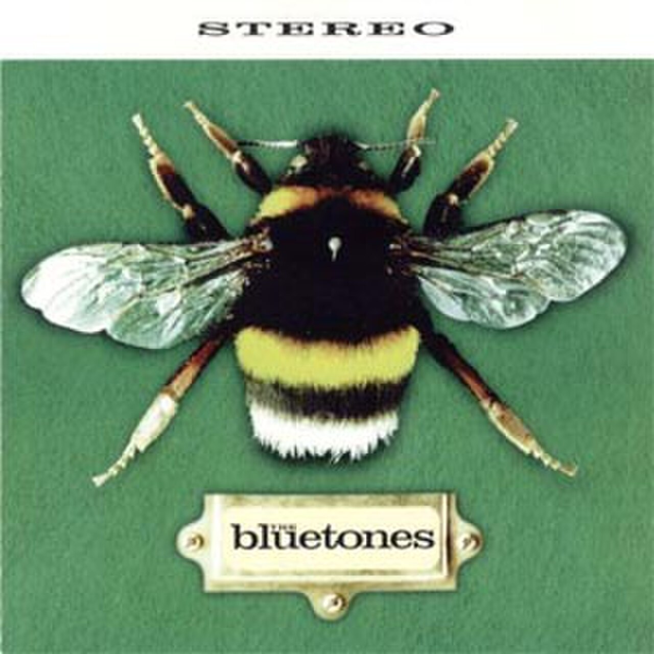 Slight Return Bluetones.jpg