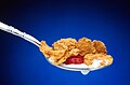 Cold breakfast cereal held in a dessert spoon
