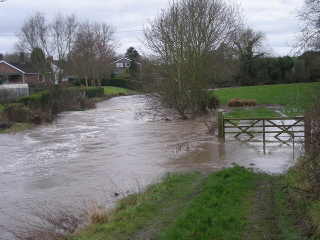 Rea Brook in flood at Hook-a-gate - Jan' 2008 - geograph.org.uk - 659229.jpg