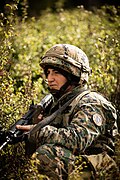 Bosnian soldier with equipment in MARPAT camouflage