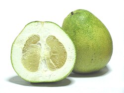 Fruit