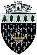 Coat of arms of Brazi