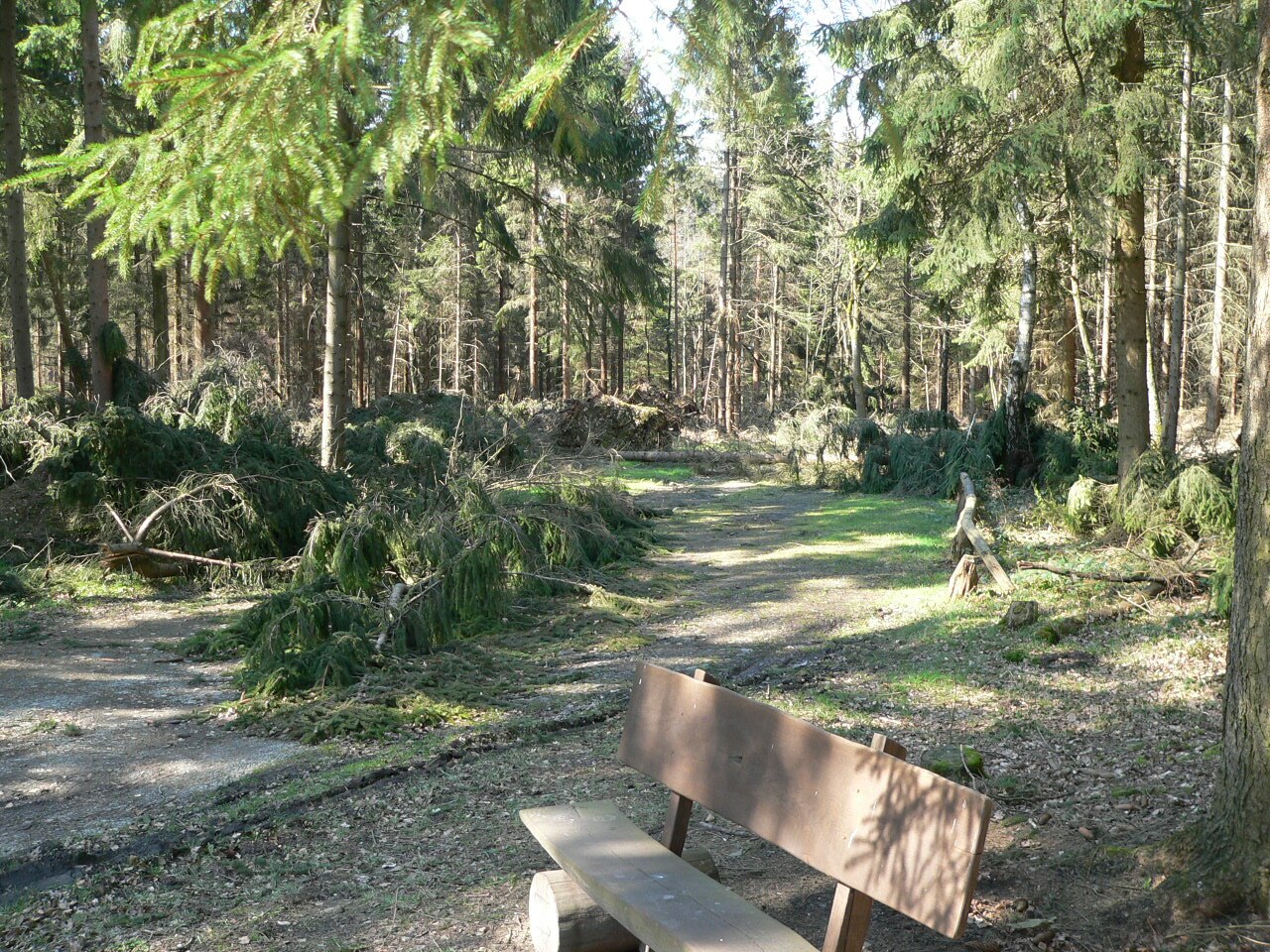 Bramwald 04.jpg