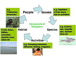 Image shows how one is able to alter certain biological interactions in order to optimize survival of the system.