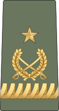 ብርጋዴር ጄኔራል Birigadēri jēnērali (Ethiopian Ground Forces)[25]
