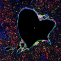 Portal triad of mouse liver. 1= bile duct, 2= branch of hepatic artery, 3= branch of portal vein, 4= lymphatic vessels