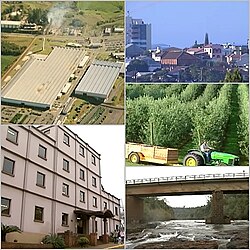 Images of Horizontina