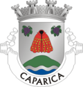 Coat of arms of Caparica