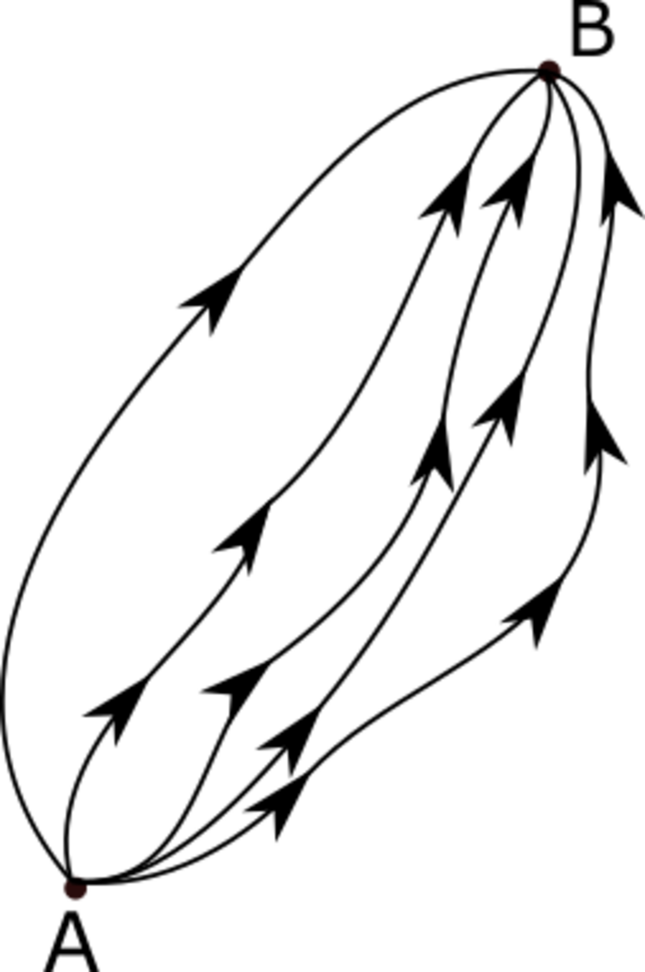 Feynman paths.png