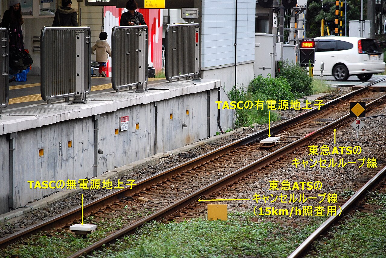 TASC chijyoushi.JPG