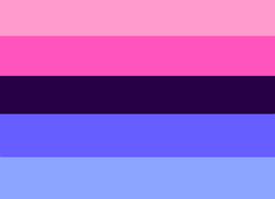 A flag with 5 evenly-spaced stripes. From top to bottom, they are pink, magenta, navy blue, purple-ish blue, and lighter purple-ish blue.