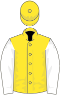 Yellow, white sleeves, yellow cap