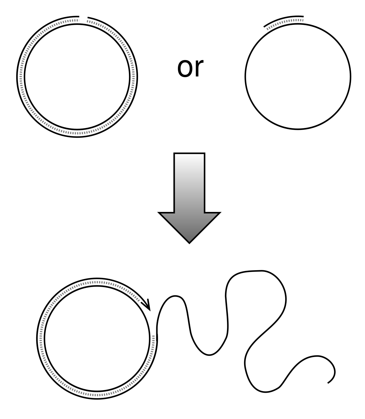 Rolling circle.svg