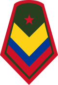 Sargento primero (Colombian National Army)[34]