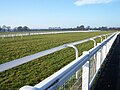 The home straight