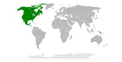 Location of Consortium for North American Higher Education Collaboration Consortium pour la collaboration dans l'enseignement supérieur en Amérique du Nord (French) Consorcio para la Colaboración de la Educación Superior en América del Norte (Spanish)