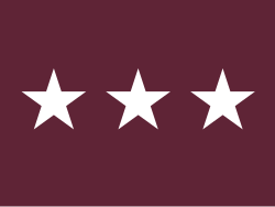 Flag of a Lieutenant General in the United States Army Medical Department.
