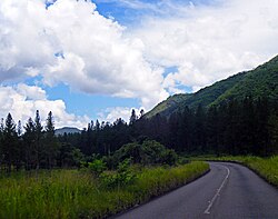 Road in San Antonio de Capayacuar, on the way to Maturín
