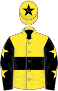 Yellow, black hoop, black sleeves, yellow stars, yellow cap, black star