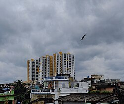 A view from Satchasi Para, Cossipore