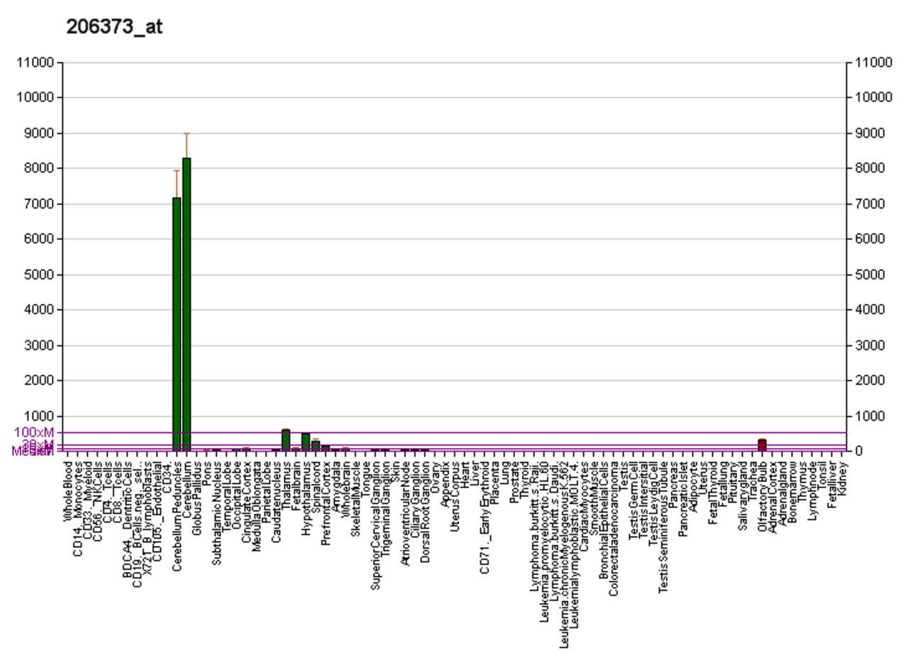 PBB GE ZIC1 206373 at fs.png