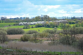 The Treene valley just west of the Treßsee