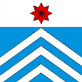 Flag of Anzonico