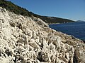 Coastal rocks