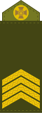 Старший сержант Starshyy serzhant (Ukrainian Ground Forces)[35]