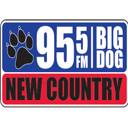 Big Dog 95.5 logo