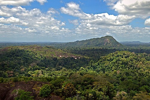 An inselberg in the rainforest of Suriname