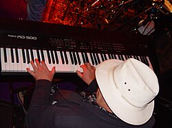 Middleton with Snowy White & The White Flames performing in Germany (1 November 2007)