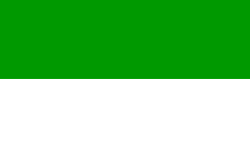 Flag of Tonk