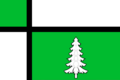 Flag of Tayshet