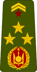 Général de brigade (Djiboutian Army)