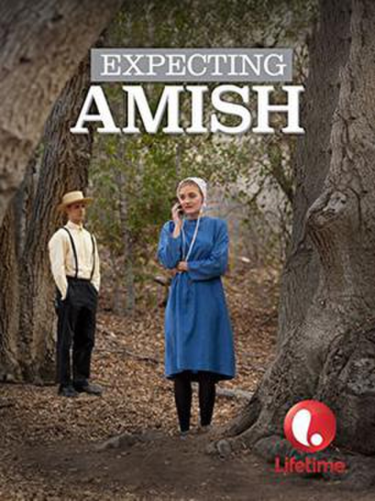 Expecting Amish poster.jpg