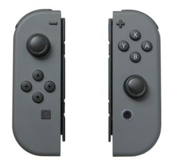 The gray Joy-Con (L) and Joy-Con (R) controllers. The inside rails slot onto the side of the main Switch console or grip controller.