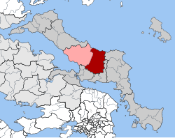 Location within the regional unit