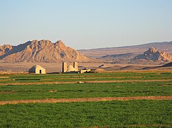 Agricultural landscape in Nain County