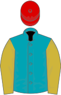 Peacock blue, old gold sleeves, red cap