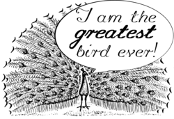 A peacock saying "I am the greatest bird ever!"
