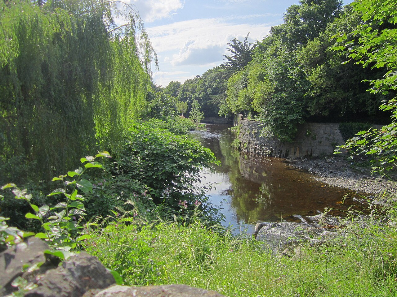 Dodder Milltown.jpg