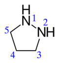 Structural formula of pyrazolidine