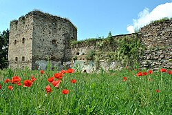 Remains of the 16th⁠–17th century Zolotyi Potik Castle