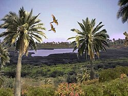 Digital recreation of its ancient landscape, with tropical forest and palm trees